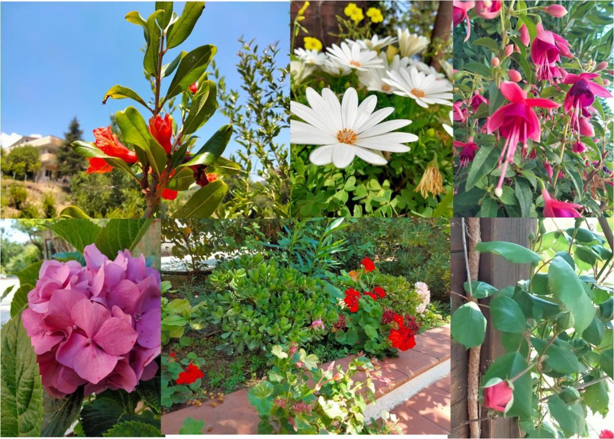 Farm stay L'oasi *