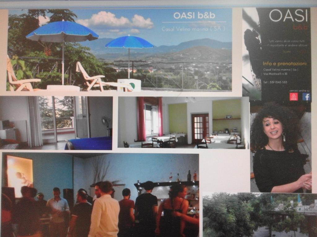 Farm stay L'oasi *